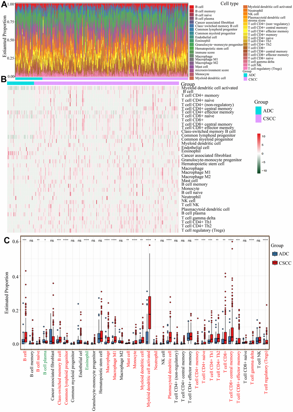 Infiltration levels of specific immunocytes in CSCC and ADC. (A) The estimated proportion of different immunocytes in cervical cancer. (B) The heatmap of different immunocytes distribution abundance in CSCC and ADC cohorts. (C) The relative estimated proportions of different immunocytes between CSCC and ADC patients. * P P P P 