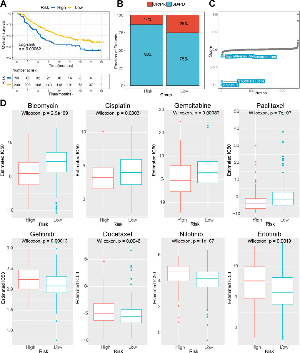 The risk score predicts sensitivity to immunotherapy and chemotherapy. (A) K-M survival analysis of the patients in the high and low risk subgroups according to the anti-PD-L1 cohort (IMvigor210 cohort). (B) The proportion of the immune response to anti-PD-L1 treatment in the high- and low-risk score subgroups. (C) Small molecule inhibitor screening based on the prediction model. (D) The IC50 values for anticancer drugs, chemotherapeutics, and targeted agents in the high- and low-risk subgroups.