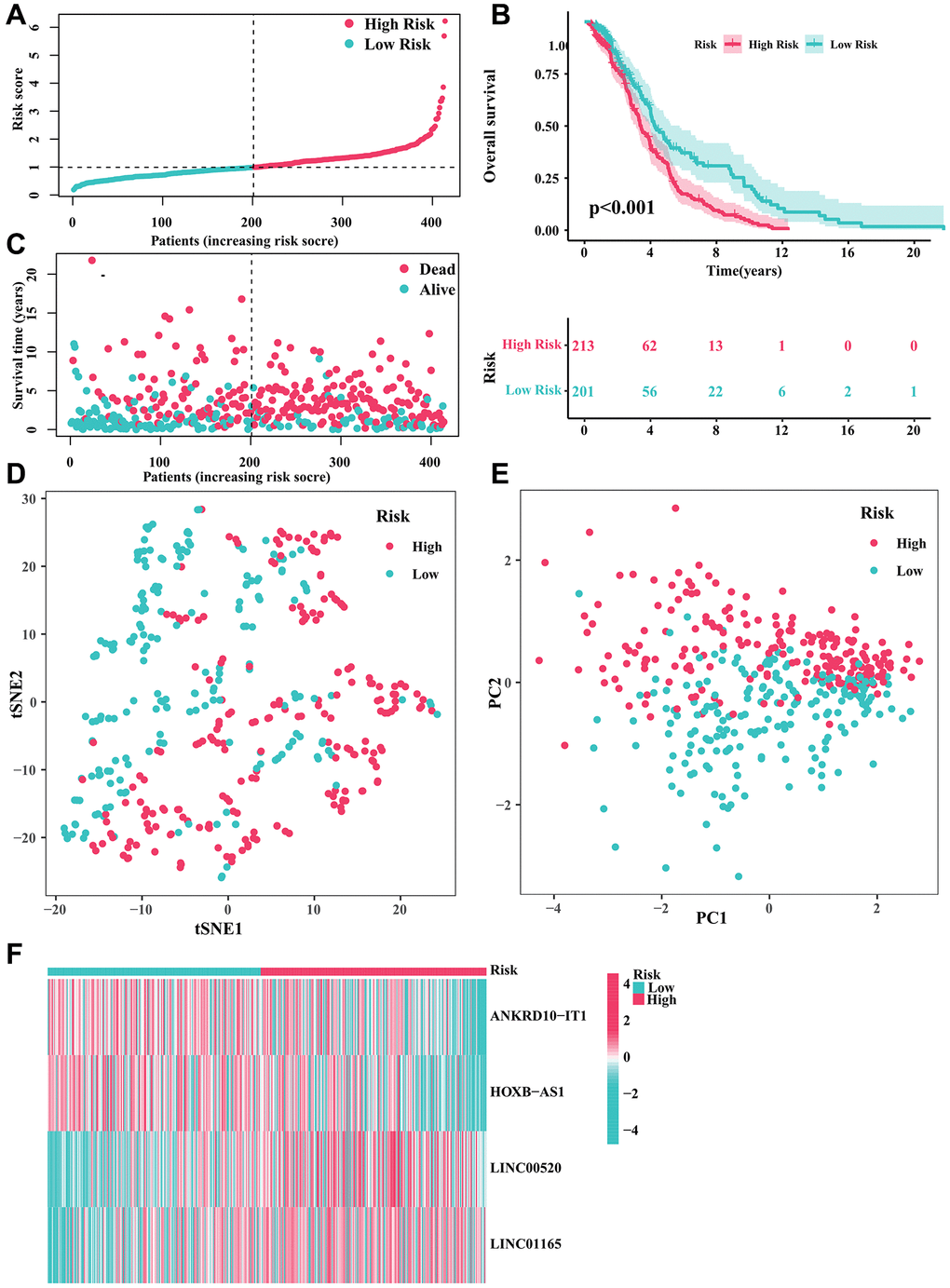 Developing a predictive risk model using the CRIRLs in DLBCL. (A) Distribution of the patients’ normalized risk score. (B) Analysis of clinical prognosis in low-risk and high-risk groups of DLBCL samples. (C) Patients’ survival status along with their risk score. (D) t-SNE analysis. (E) PCA analysis. (F) The heatmap diagram of the expression of 4 prognostic CRIRLs.
