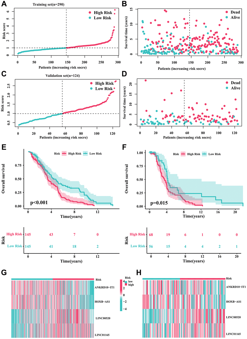 Validation of the prognostic risk signature. (A, B) Stratification of CRIRLs into risk subgroups in training cohort. (C, D) Stratification of CRIRLs into risk subgroups in validation cohort. (E, F) Analysis of clinical prognosis outcomes for risk subgroups in training cohort and validation set of CRIRLs. (G, H) Expression of the 4 prognostic CRIRLs in training cohort and validation set.