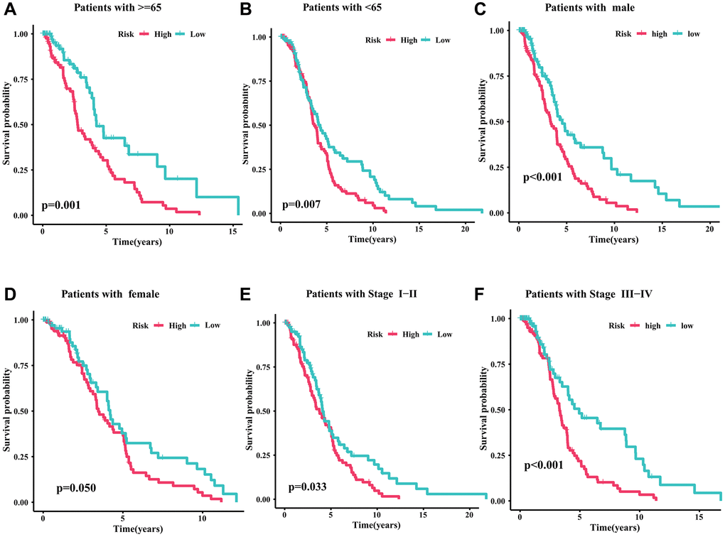 Survival analysis of CRIRLs prognostic signature. (A) Age ≥65 (B) Age C) Male (D) Female (E) Stage I+II (F) Stage III+IV.