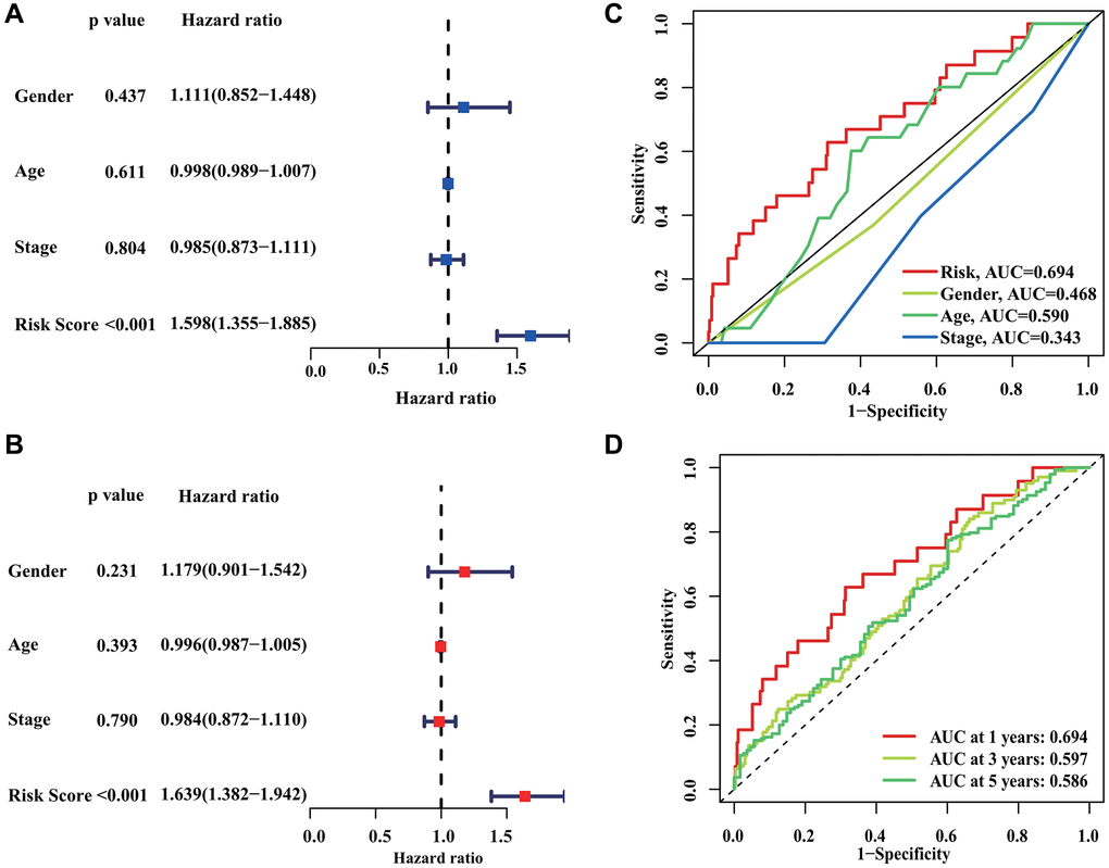 Independent prognostic analysis of CRIRLs score. (A, B) HR and P values of CRIRLs score and different clinical pathological features were evaluated based on univariate and multivariate Cox analyses. (C) Diagnostic effectiveness evaluation of CRIRLs score and clinical pathological features. (D) Time-dependent ROC curve shows the 1-, 3-, and 5-year AUC.