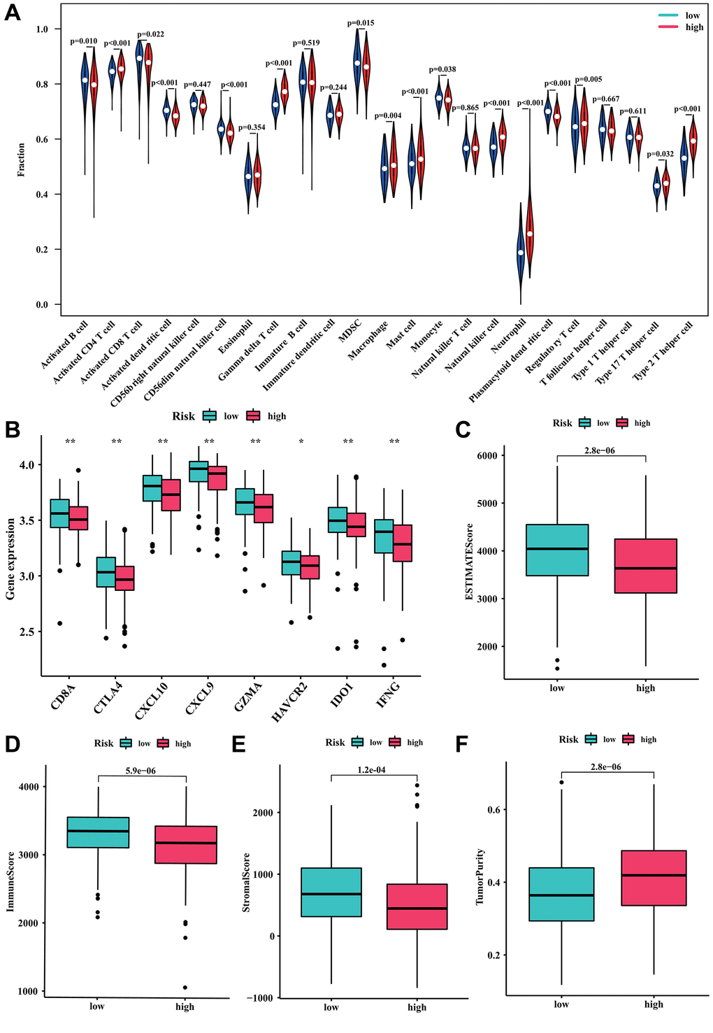 Relationship between the risk model and immune cell infiltration. (A) Fraction of 23 immune cells in high- and low-risk groups. (B) The expression level of immune checkpoints in high- and low-risk groups. (C) ESTIMATE score. (D) Immune score. (E) Stromal score. (F) Tumor purity.