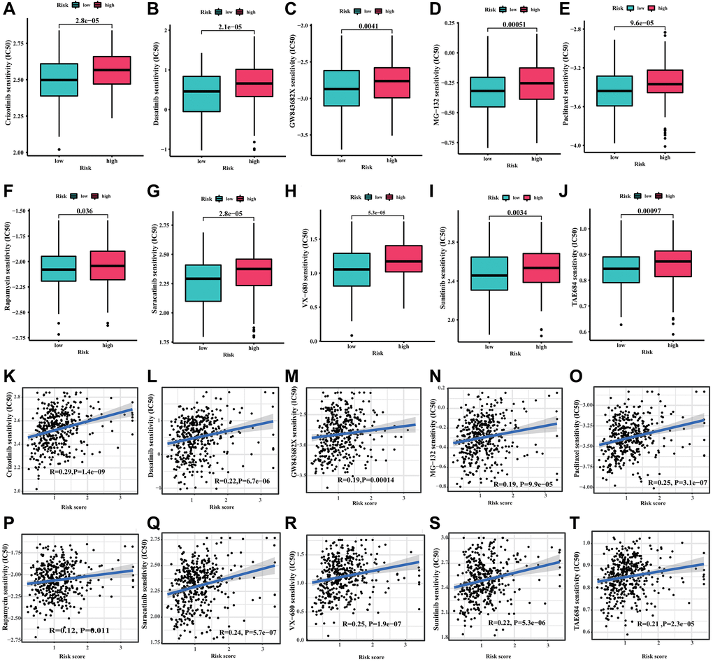 Drug sensitivity analysis. (A) Crizotinib, (B) Dasatinib, (C) GW843682X, (D) MG-132, (E) Paclitaxel, (F) Rapamycin, (G) Saracatinib, (H) VX-680, (I) Sunitinib and (J) TAE684. (K–T) Correlation analysis of the risk score and drug sensitivity (IC50).