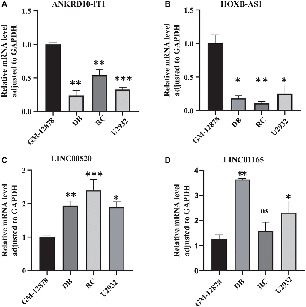 Validation the expression of CRIRLs. (A) ANKRD10-IT1, (B) HOXB-AS1, (C) LINC00520, (D) LINC01165 expression in human B lymphoid cell line and human DLBCL cell lines. *P **P ***P 