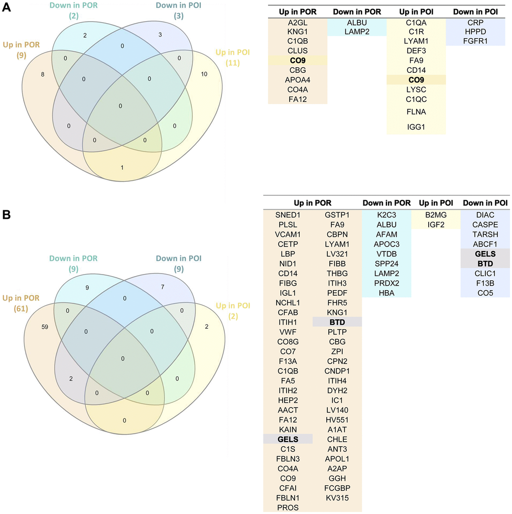 Comparative assessment of the proteomic effects of stem cell mobilization and injection in patients with poor ovarian response (POR) and premature ovarian insufficiency (POI). (A) Venn diagram (left) and protein name (right) of the differentially expressed proteins in APHERESIS samples of patients with POR and POI (both study arms), showing the relationships between the type of protein regulation (up/down). (B) Venn diagram (left) and protein name (right) of the differentially expressed proteins three months after autologous stem cell ovarian transplantation (ASCOT) in patients with POR and patients with POI from the ASCOT arm, showing the relationships between the type of protein regulation (up/down). The total number of significant differentially expressed proteins in each category is represented in brackets.