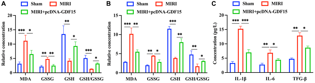 pc-DNA-GDF15 significantly inhibited the oxidative stress condition and inflammation response. (A, B) Detection of oxidative stress biomarkers including MDA, GSSG, GSH in the serum and myocardial tissues. (C) Measurement of the serum levels of IL-1β, TGF-β, and IL-6. *P **P ***P 