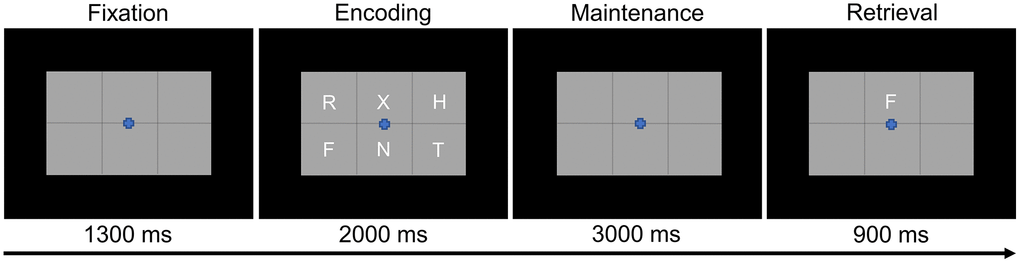 Modified Sternberg working memory paradigm. Participants were required to encode and maintain six letter stimuli. During the retrieval stage, participants were then required to indicate whether the probe letter was or was not present in the initial six letter set.