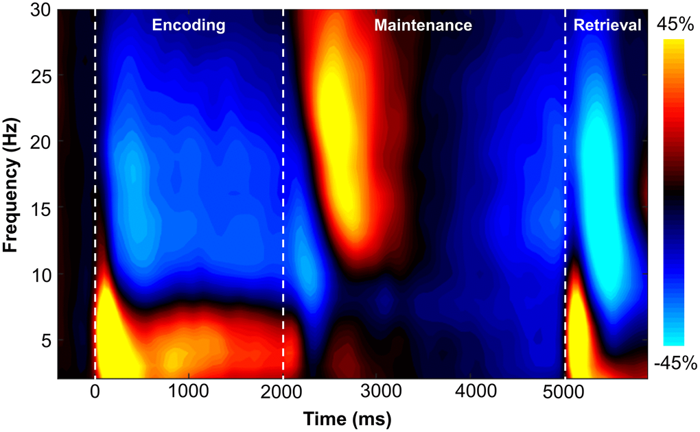 Grand-averaged time-frequency spectrogram from a sensor near parieto-occipital areas (MEG1922) with time (ms) shown on the x-axis and frequency (Hz) denoted on the y-axis. A color scale bar is shown to the right of the spectrogram which shows the percent power change relative to the baseline period (−400 to 0 ms).