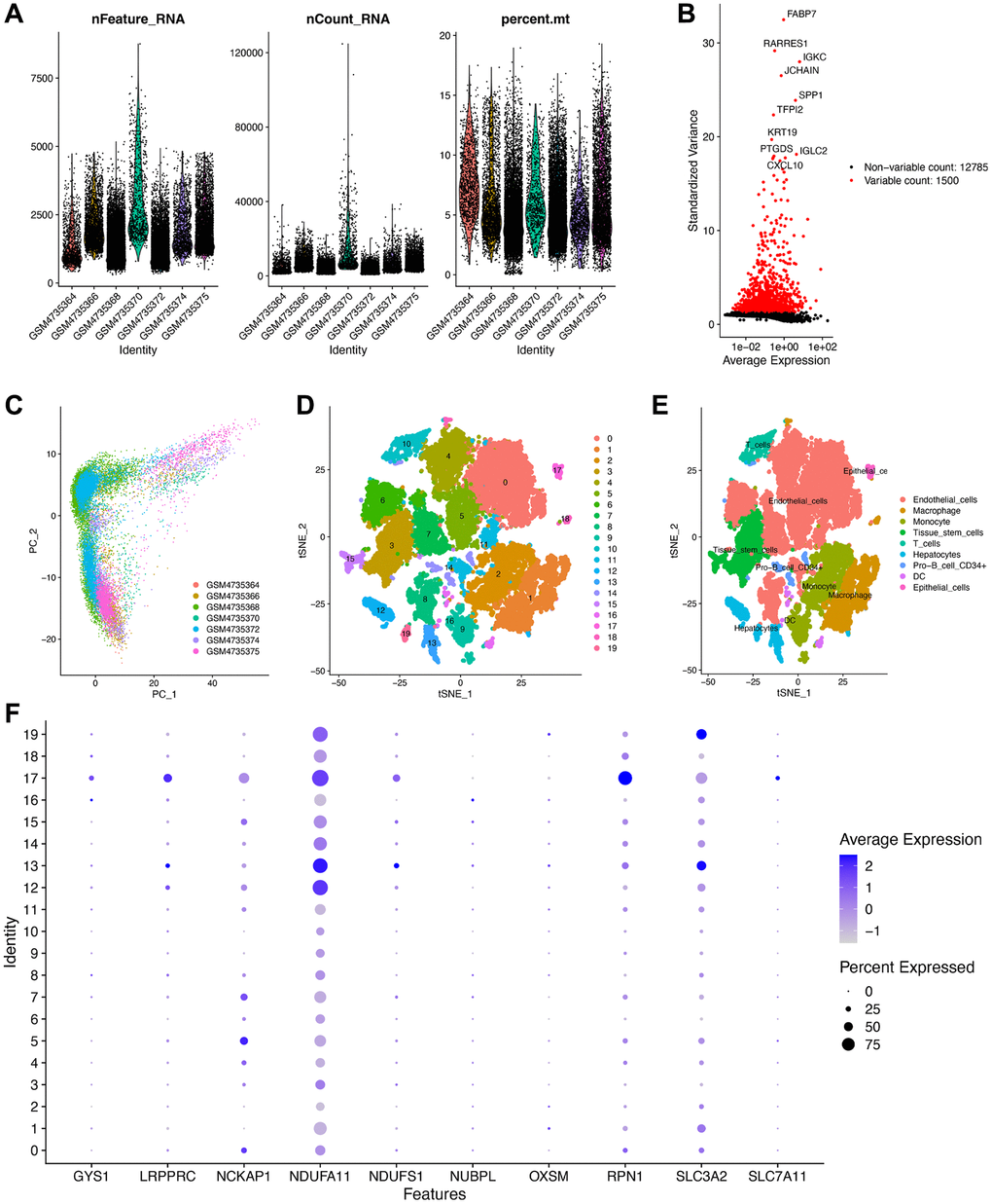 Validation of the expression of the disulfidptosis-related molecules using scRNA-seq data. (A) Following quality control and normalization, (B) detection of highly variable genes across the cells using a volcano plot, the top 10 genes are marked. (C) PCA based on scRNA-seq data from seven ccRCC samples. (D) tSNE algorithm classified cells into 20 clusters. (D) The cell types of the various clusters. (E) In total, 20 cell clusters were annotated into nine cell subtypes using the tSNE algorithm. (F) The expression level of the disulfidptosis-related molecules in each cell subtype.