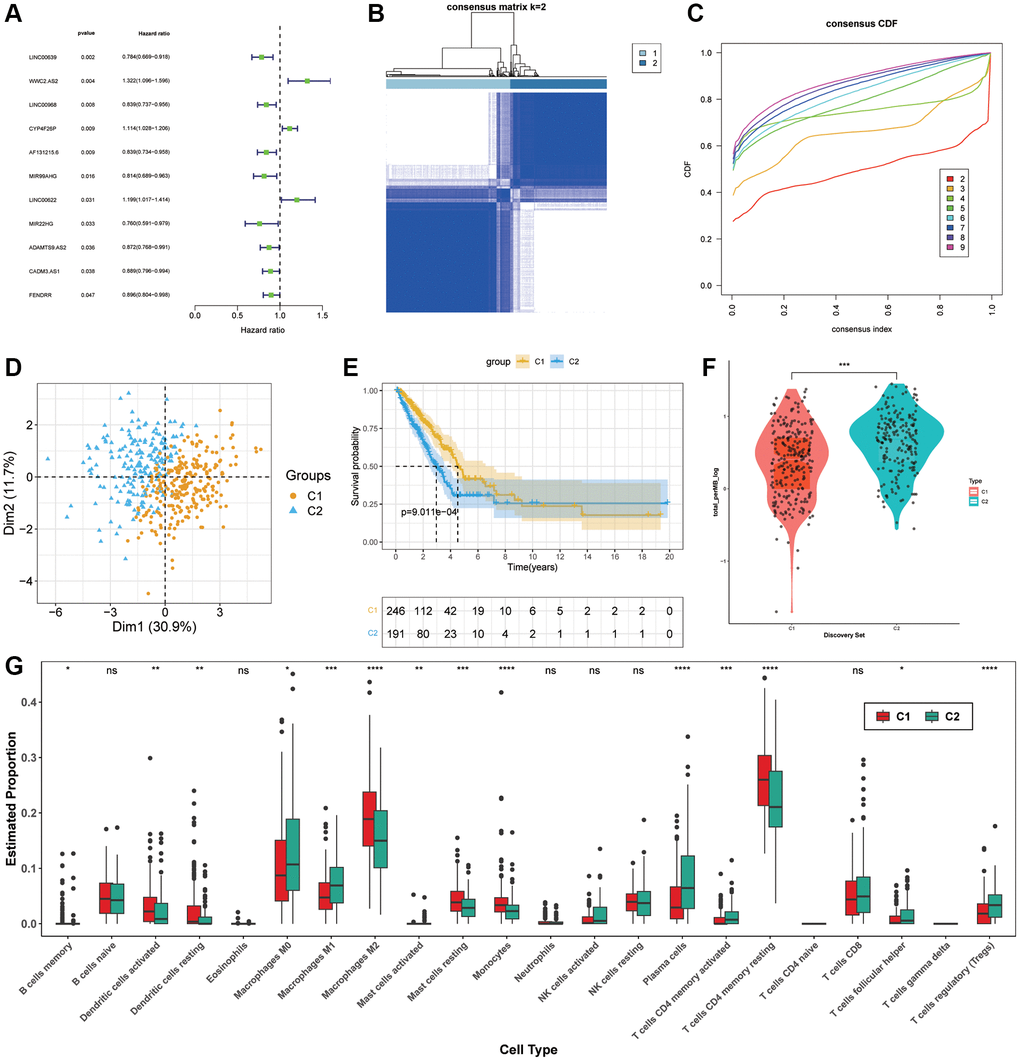 Molecular subgroup construction. (A) Prognosis related ARLs by univariate Cox regression. (B, C) Identification of two molecular subgroups. (D) PCA of subgroups (E) Kaplan-Meier survival analysis in C1, C2. (F) TMB levels of LUAD patients in C1 and C2. (G) Tumor immune microenvironment of subgroups.