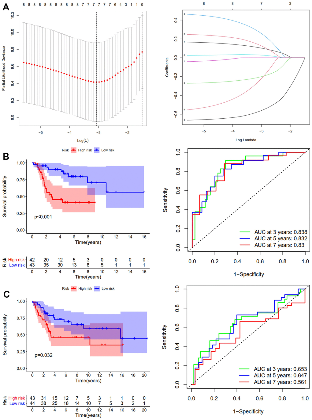 Development and validation of the OS-prediction model for osteosarcoma. (A) The least absolute shrinkage and selection operator (LASSO) method of ARGs is associated with prognosis. Survival curve and ROC curve for low- and high-risk subgroups in the training cohort (TCGA-TAGET) (B) and the validation cohort (GSE16091 and GSE21257) (C).
