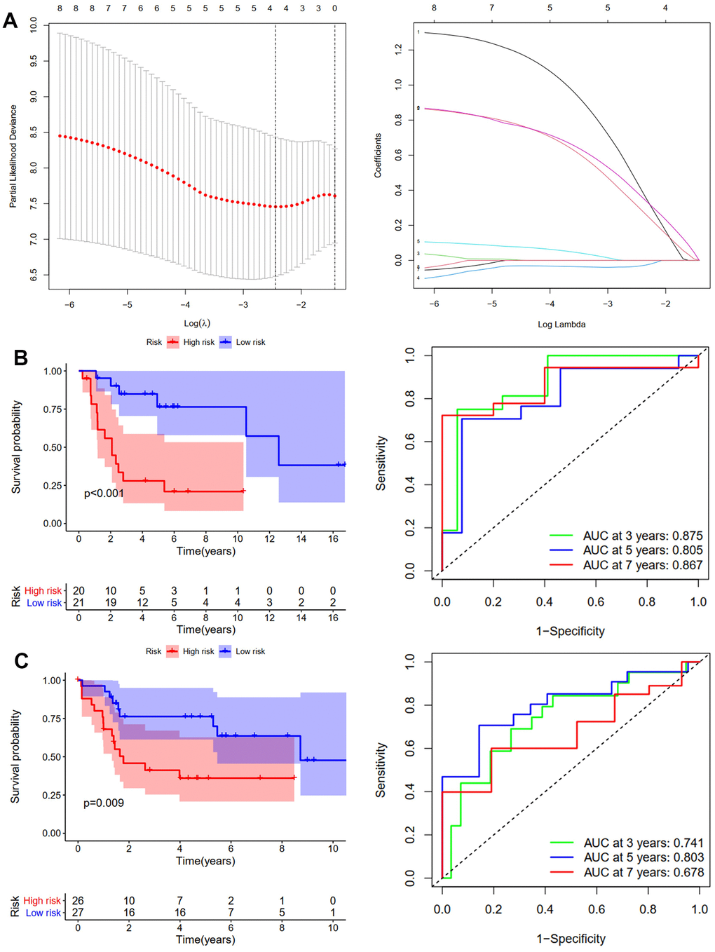 Development and validation of the RFS-prediction model for osteosarcoma. (A) The least absolute shrinkage and selection operator (LASSO) method of ARGs is associated with prognosis. Survival curve and ROC curve for low- and high-risk subgroups in the training cohort (GSE39058) (B) and the validation cohort (TCGA-TAGET) (C).