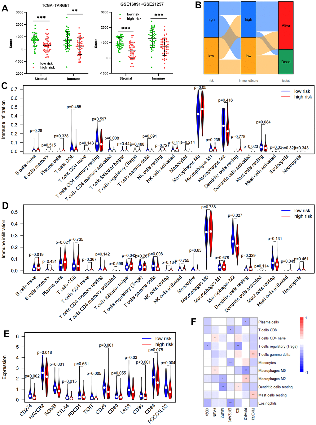 Immune infiltration between risk groups. (A) Comparisons between the high- and low-risk groups in terms of stromal score and immune score in the TCGA-TARGET cohort and GSE16091 + GSE21257 cohort. (B) The Sankey diagram of risk score, immune score, and survival status. Violin plot comparing the proportions of TIICs associated with low- and high-risk scores designated by the OS-prediction model for the training cohort (TCGA-TARGET) (C) and the validation cohort (GSE16091 and GSE21257) (D). (E) Differences in expression of immune checkpoint genes between low- and high-risk groups in TCGA-TARGET cohort. (F) Correlation heatmap of prognostic ARGs and TIICs.