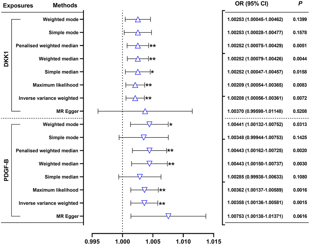 Effects of genetically predicted DKK1 and PDGF-B on the AMI risk. DKK1, dickkopf - 1; PDGF-B, platelet derived growth factor subunit-B; OR, odds ratio; CI, confidence interval. *P P 