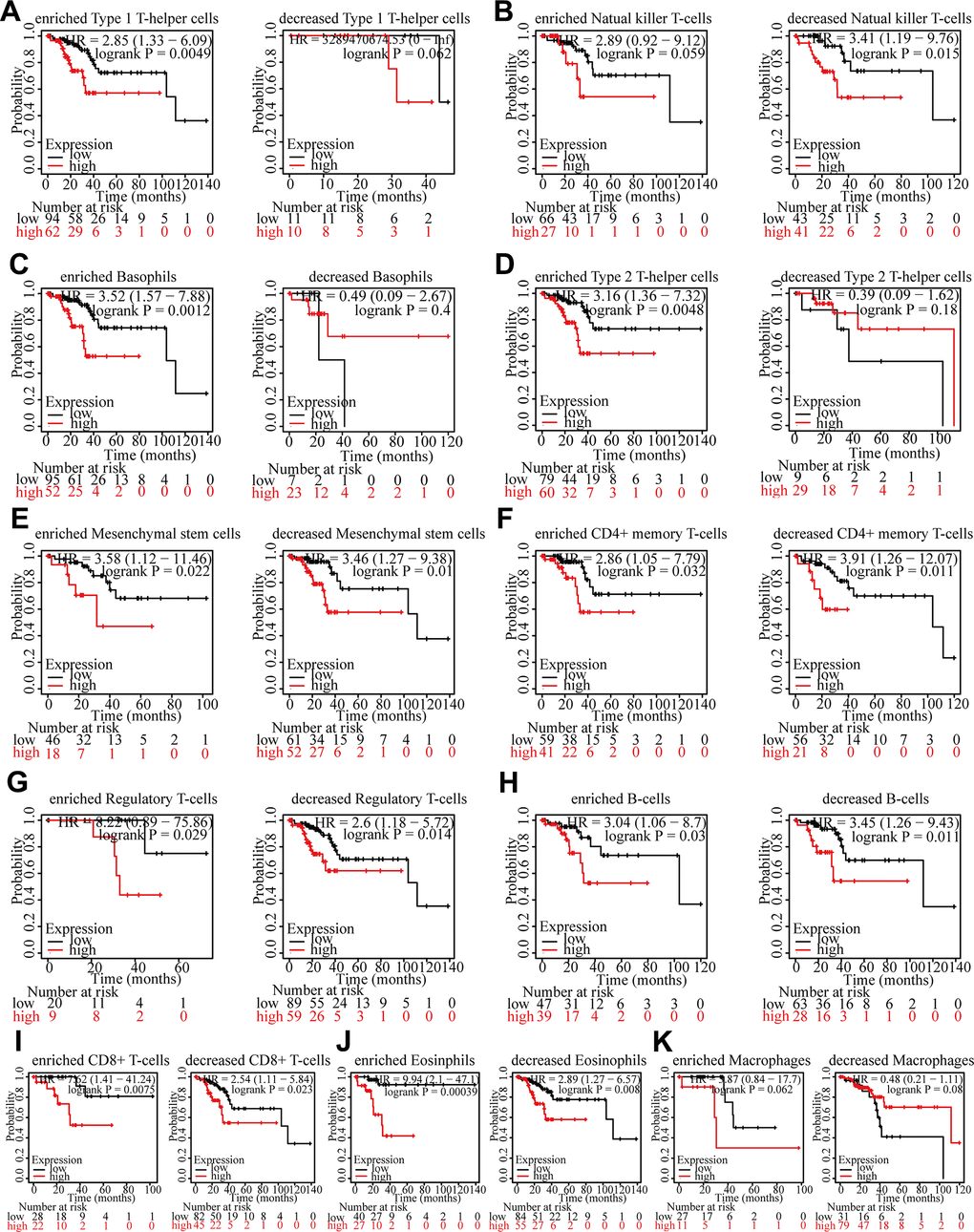 Survival curves of high and low expression of LAMP3 in UCEC in diverse immune cell subgroups. (A) Type1 T-helper cells (B) Natural killer T-cells (C) Basophils (D) Type2 T-helper cells (E) Mesenchymal stem cells (F) CD4+ memory T-cells (G) Regulatory T-cells (H) B-cells (I) CD8+ T-cells (J) Eosinophils (K) Macrophages.