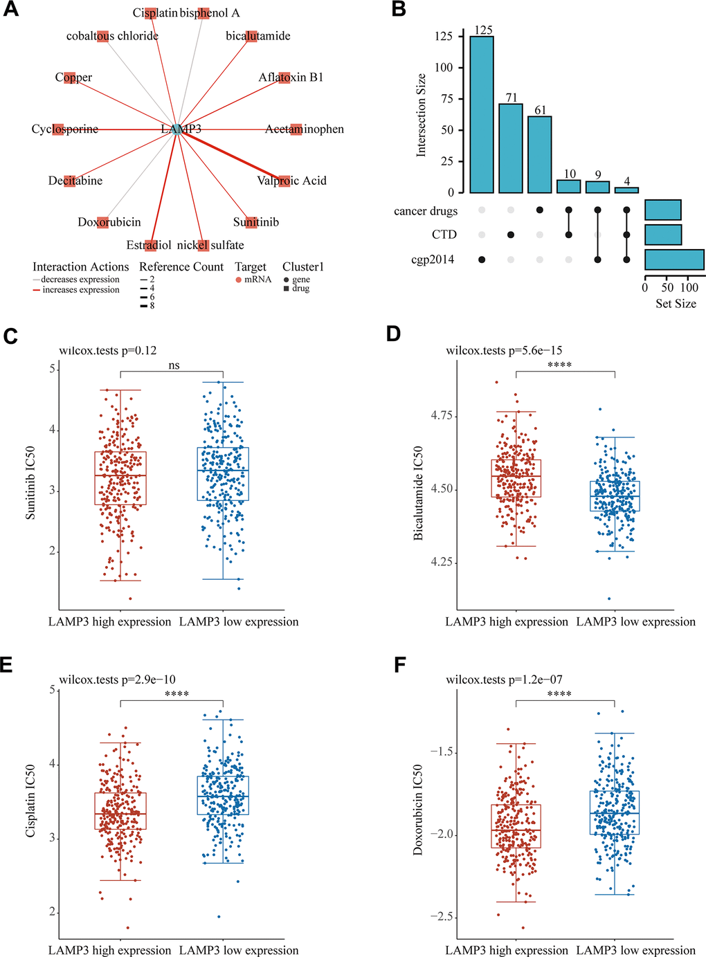 Prediction of LAMP3 expression-related drugs. (A) An advanced network diagram shows 14 cancer-related drugs that can modulate LAMP3 expression. (B) An upset diagram demonstrates drugs related to LAMP3 expression in CTD, cancer drugs and cgp2014. Relationship between LAMP3 expression and IC50 of (C) sunitinib (D) bicalutamide (E) cisplatin and (F) doxorubicin.