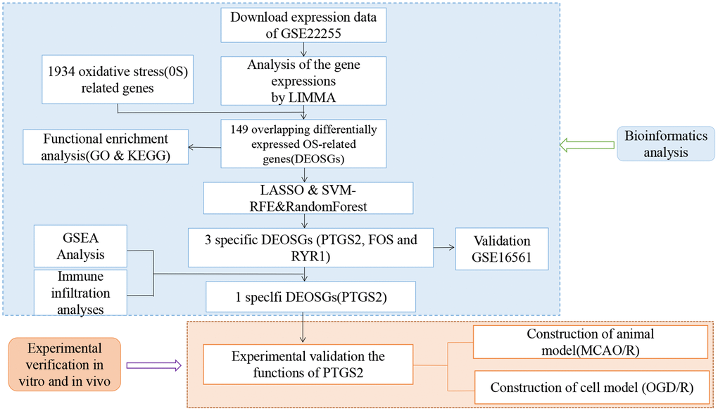 Flow chart of the study.