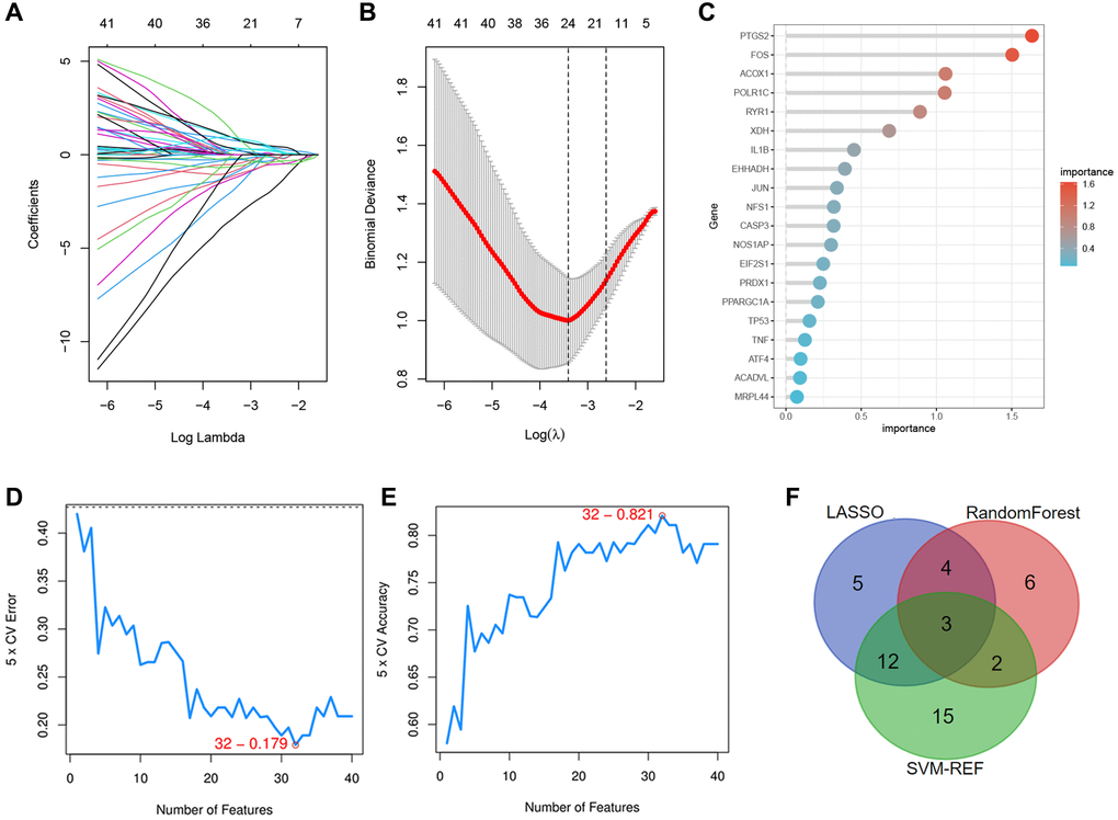 Identification of the specific DEOSGs in IS. (A, B) The LASSO logistic algorithm. (C) The important analysis of Random Forest algorithm. (D, E) The error and accuracy analysis of SVM-REF algorithm. (F) The intersection of the three algorithms (3 specific DEOSGs).