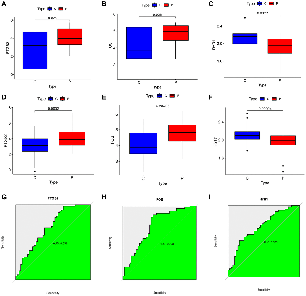 Verification of the specific DEOSGs in IS. (A) The expression of PTGS2 in GES22255 dataset. (B) The expression of FOS in GES22255 dataset. (C) The expression of RYR1 in GES22255 dataset. (D) The expression of PTGS2 was validated in the GSE16561. (E) The expression of FOS was validated in the GSE16561. (F) The expression of RYR1 was validated in the GSE16561. (G) The ROC curve of PTGS2. (H) The ROC curve of FOS. (I) The ROC curve of RYR1.