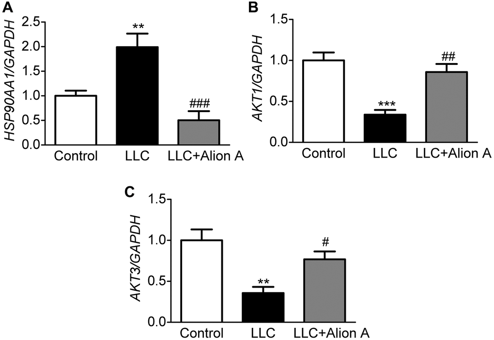 Effect of Aloin A on mRNA expression of HSP90AA1, AKT1 and AKT3 and in skeletal muscle of mice. (A) mRNA expression of HAP90AA1. (B) mRNA expression ratio of AKT1. (C) mRNA expression of AKT3. The values are shown as the mean ± SEM (n = 6). **P #P ##P ###P 