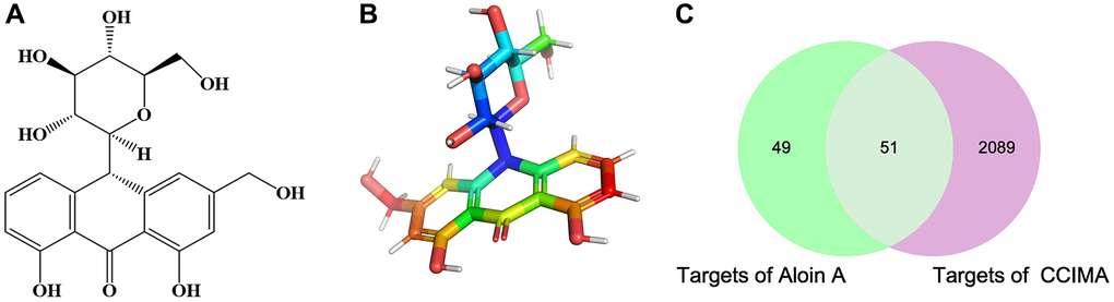 The chemical structure of Aloin A and target prediction of Aloin A in cancer related muscle atrophy. (A) 2 D structure of Aloin A. (B) 3 D structure of Aloin A. (C) Wayne diagram of common targets of Aloin A (drug) and cancer related muscle atrophy (disease).