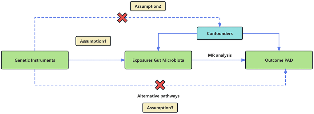 An overview of the MR analysis and its three primary assumptions.