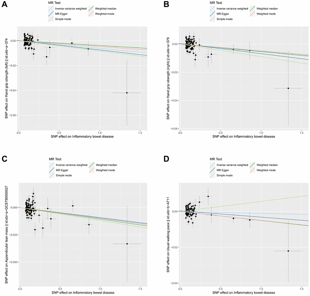 Scatter plot for MR analyses of the causal effect of IBD on sarcopenia after removing the pleiotropic outlier SNPs. (A) IBD-grip strength (left). (B) IBD-grip strength (right). (C) IBD-ALM. (D) IBD-Walking pace.