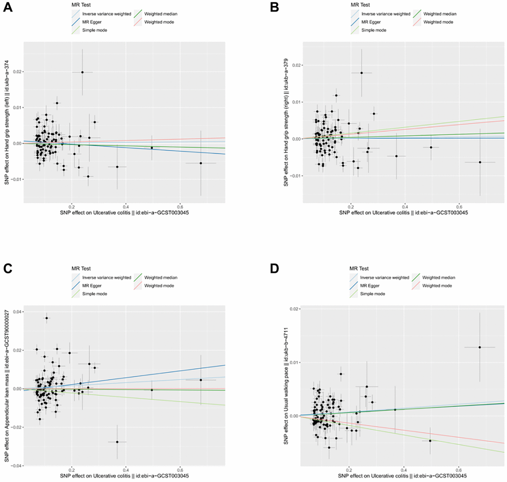 Scatter plot for MR analyses of the causal effect of UC on sarcopenia after removing the pleiotropic outlier SNPs. (A) UC-grip strength (left). (B) UC-grip strength (right). (C) UC-ALM. (D) UC-Walking pace.