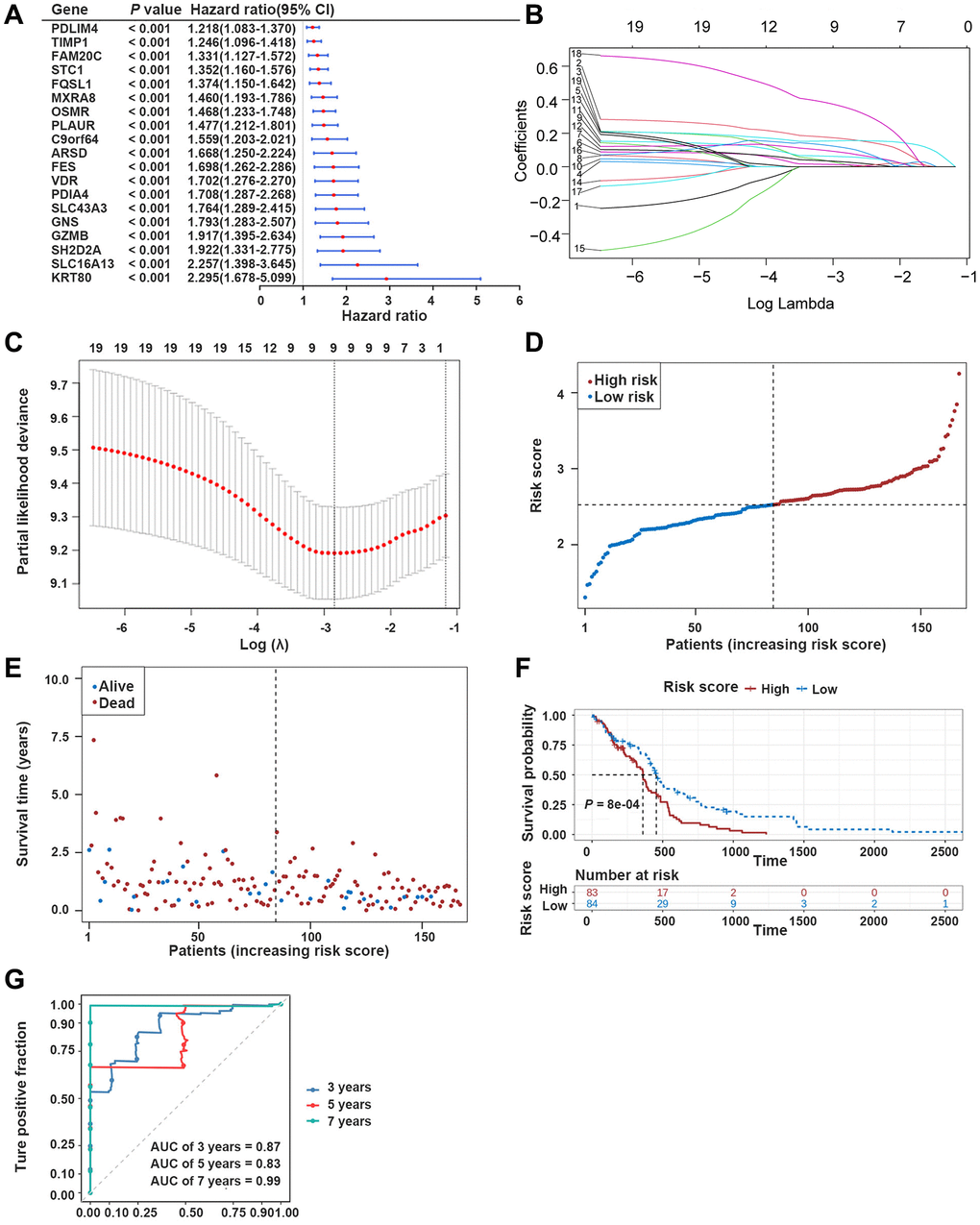 Development of the prognostic model based on ERDEGs. (A) Univariate Cox analysis filtered out 19 ERDEGs correlated with GBM patients’ survival. (B, C) LASSO regression analysis revealed that 9 ERDEGs were prognosis-related genes (PRGs) of GBM patients. (D) Distribution of patients based on the risk score in the training dataset. (E) Survival time and status of patients in the training dataset. (F, G) The Kaplan-Meier (K-M) survival curve and ROC curve in the training dataset.