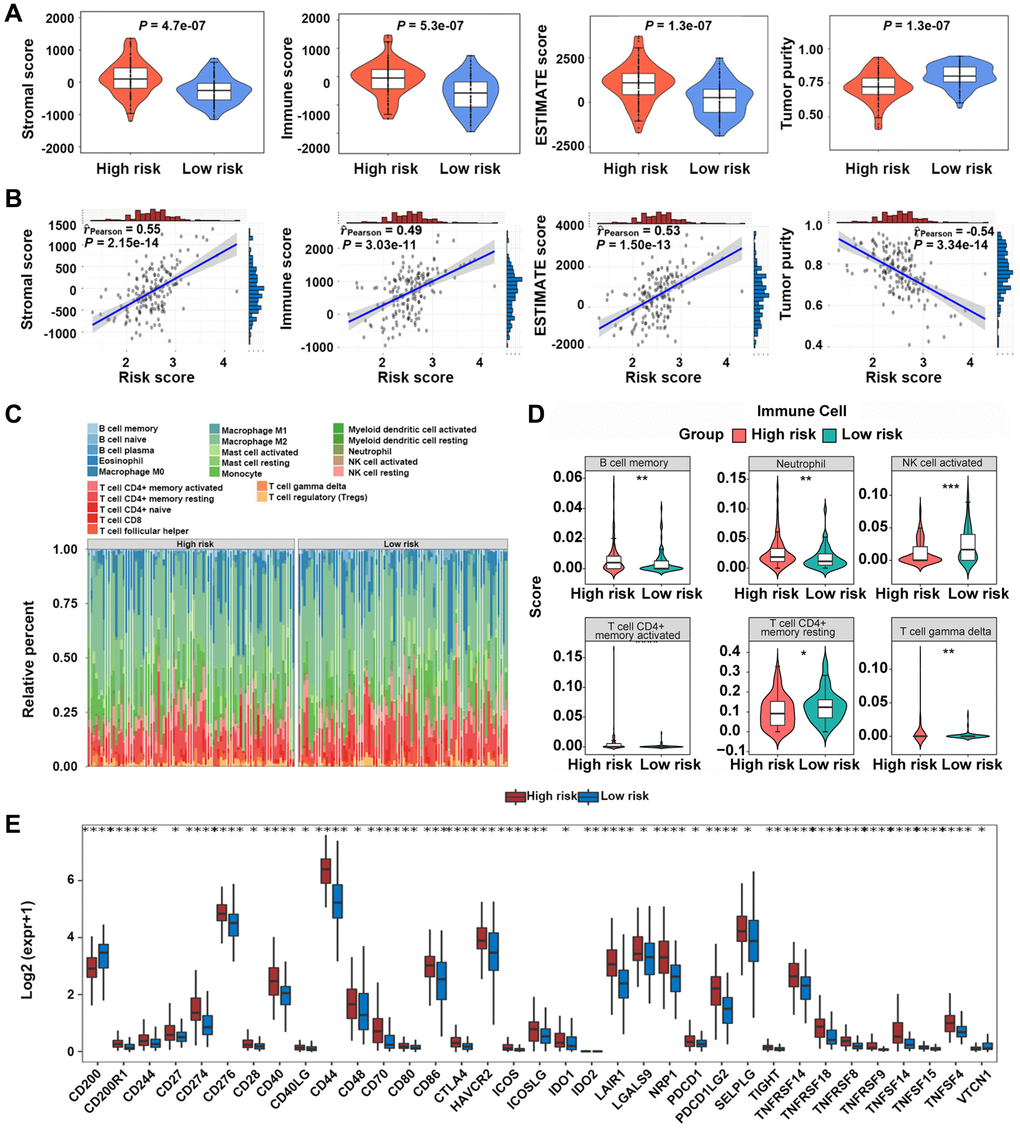 Immune microenvironment analysis between high-risk and low-risk groups. (A, B) Relationship between risk scores and GBM microenvironment scores. (C, D) Comparison of the infiltration levels of 22 immune cells in high-risk and low-risk groups. (E) Comparison of the expression levels of immune checkpoints between the two groups. *P **P ***P 