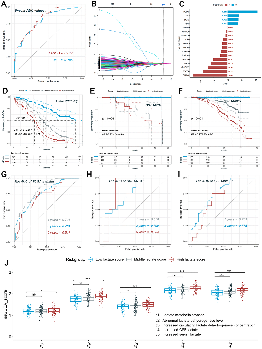 Construction and validation of the lactate score in ovarian cancer. (A) ROC curve of different models constructed by two algorithms LASSO and RF. (B) LASSO coefficient profiles of the 230 LRGs, which come from the pathways named lactate metabolic process, abnormal lactate dehydrogenase levels, increased CSF lactate, increased serum lactate, increased circulating lactate dehydrogenase concentration. (C) The risk model consists of 17 genes and their coefficient. (D) The KM plot of high, middle and low lactate score patients in training set. (E) The KM plot of high, middle and low lactate score patients in GSE14764 dataset. (F) The KM plot of high, middle and low lactate score patients in GSE140082 dataset. (G) ROC curve of the risk model in training set. (H) ROC curve of the risk model in GSE14764 dataset; (I) ROC curve of the risk model in GSE140082 dataset. ROC: receiver operating characteristic; LASSO: least absolute shrinkage and selection operator; RF: random forest. LRGs: lactate-related genes.