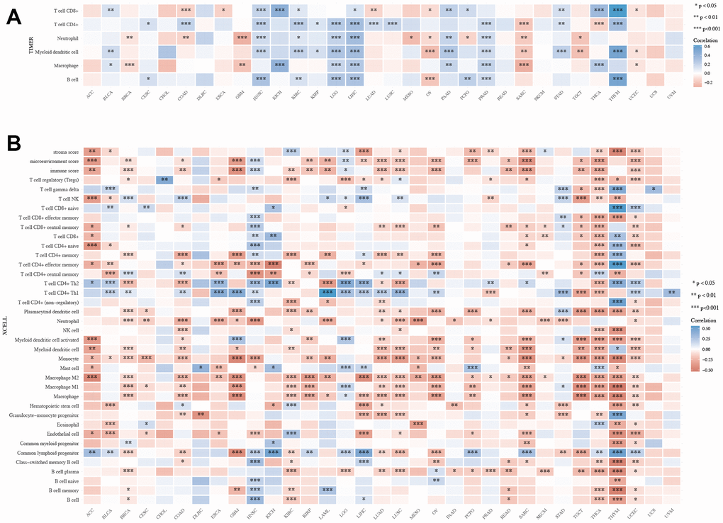 The XRCC1 expression correlated with immune infiltration. (A) The expression of XRCC1 was strongly associated with the infiltration levels of various immune cells in the TIMER dataset. (B) Based on the XCELL database, we explored the significant correlation between the expression of XRCC1 and the infiltration levels of various immune cells. (*p 