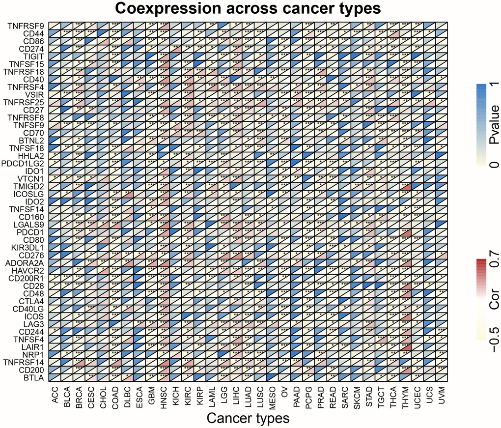 The association heatmaps between XRCC1 expression and immune checkpoint genes in pan-cancer. *P 