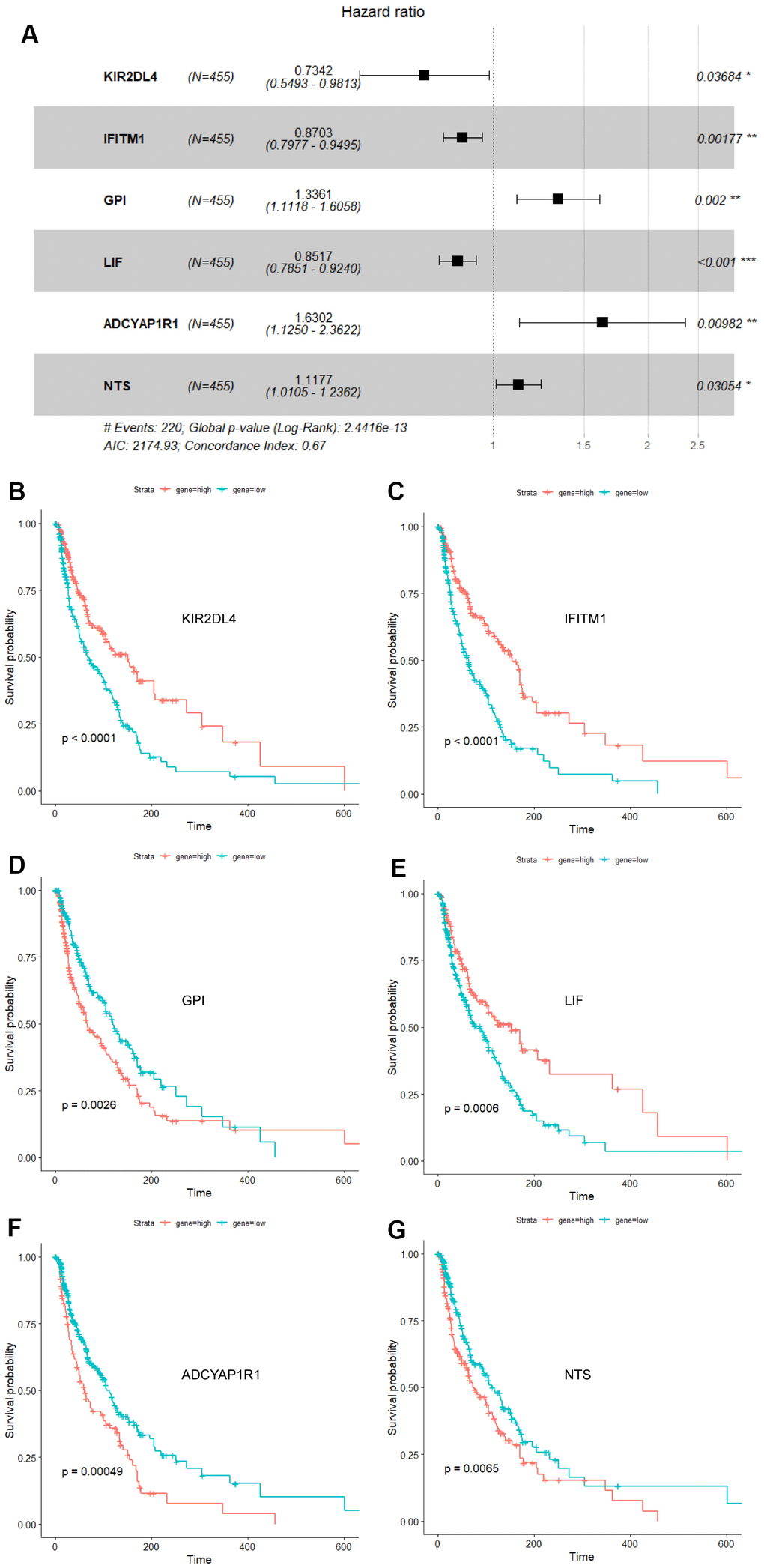 Forest plot and survival analysis of biomarkers. (A) The Cox proportional hazards model based on ADCYAP1R1, GPI, IFITM1, KIR2DL4, LIF and NTS. (B) Survival analysis of KIR2DL4 in melanoma (PC) Survival analysis of IFITM1 in melanoma (PD) Survival analysis of GPI in melanoma (P=0.0026). (E) Survival analysis of LIF in melanoma (P=0.0006). (F) Survival analysis of ADCYAP1R1 in melanoma (P=0.00049). (G) Survival analysis of NTS in melanoma (P=0.0065).