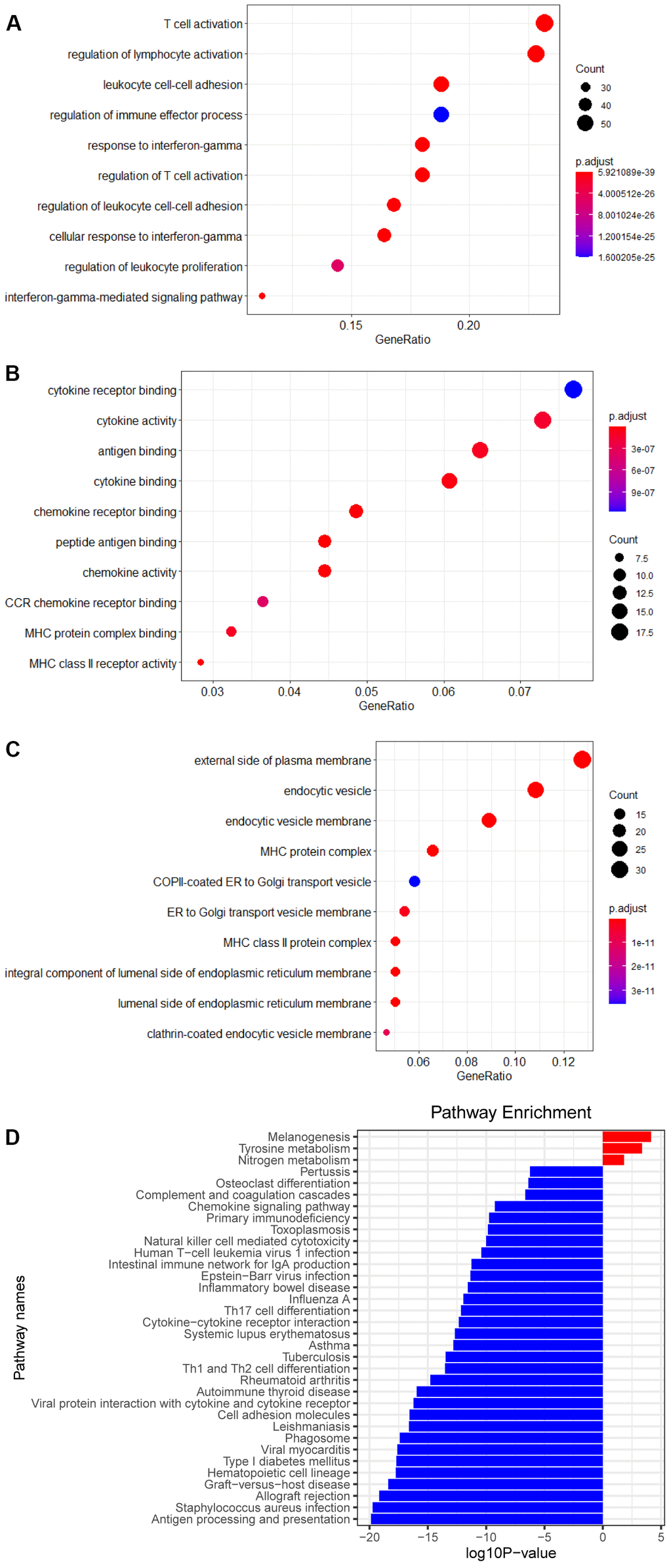 Enrichment analysis of DEGs. (A) Biological process of DEGs. (B) Molecular function of DEGs. (C) Cellular component of DEGs. (D) KEGG pathways of DEGs.