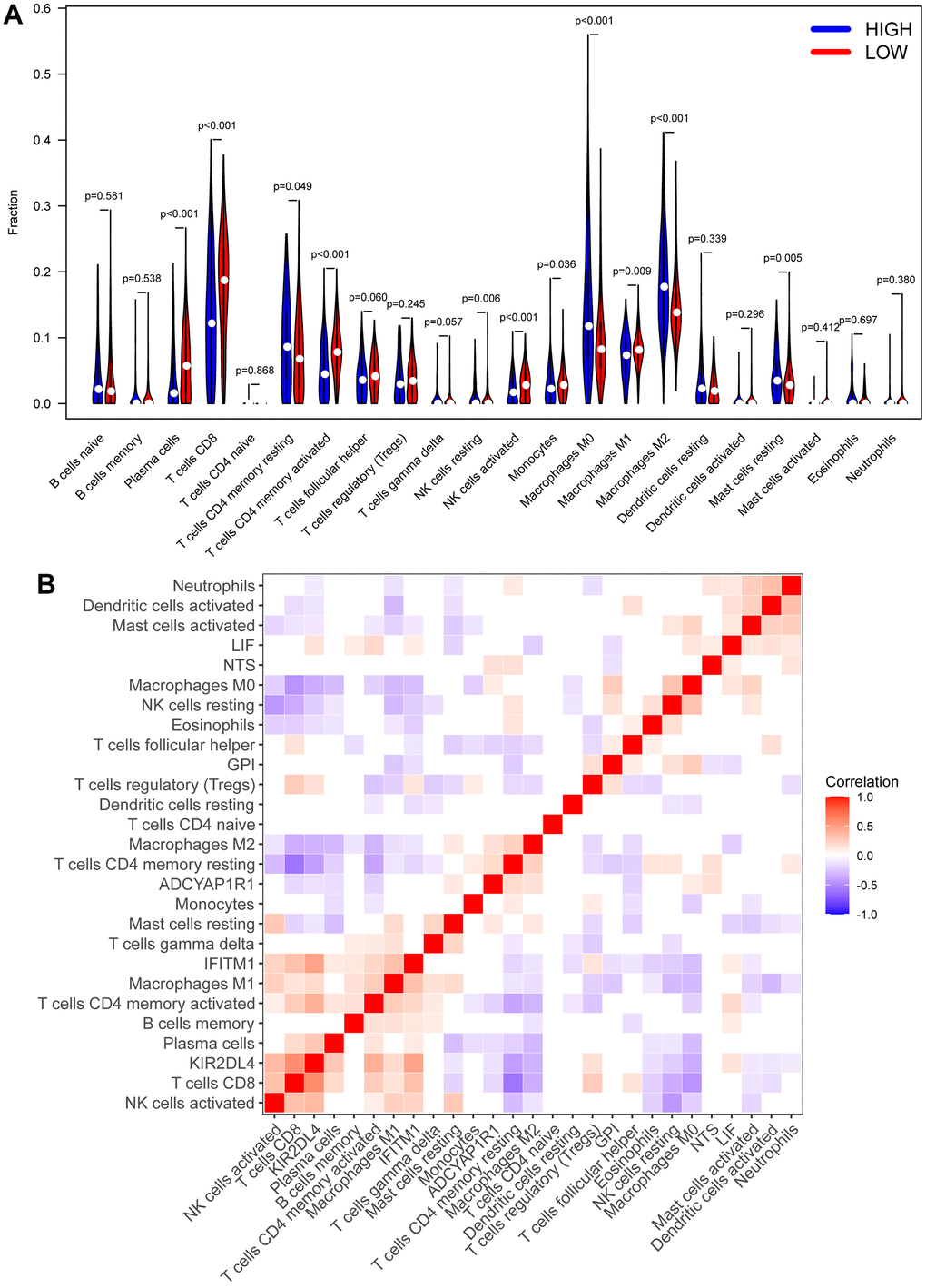 CIBERSORT analysis. (A) The heatmap of immune cell infiltration in high RS samples and low RS samples. Red represents low RS samples, and blue represents high-risk samples. (B) Correlation analysis between different immune cells and biomarkers.