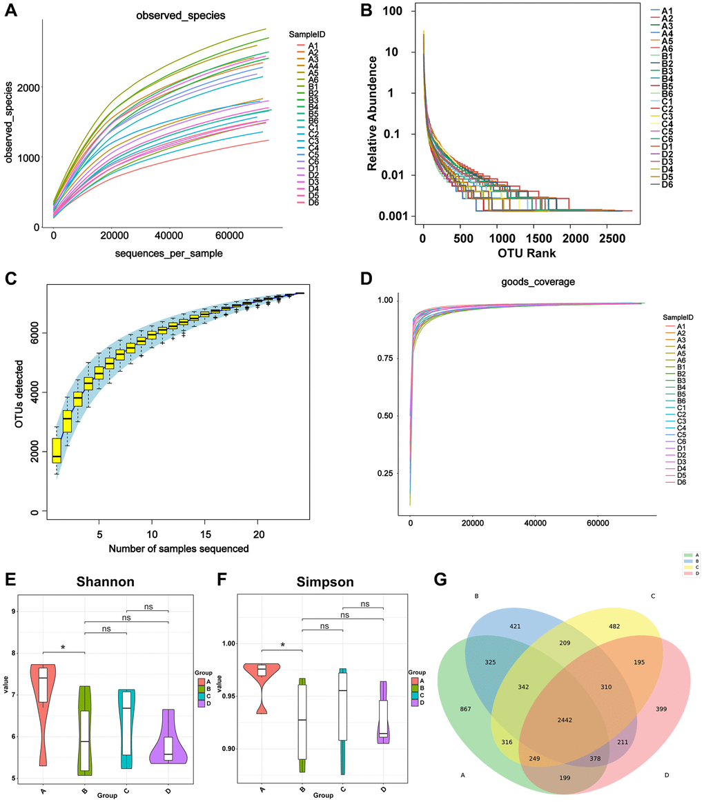 Calculation of alpha diversity index reflects sequencing depth. (A) The OTUs indicating the numbers of observed bacterial species. The X-axis represents the random sampling depth, and the Y-axis represents the exponential value. The curve slowly plateaus, indicating that there is enough sequencing data to represent information on the majority of microbial species in the sample. (B) Species richness and evenness. The abscissa represents the number of sequences contained in OTUs. For example, the 1000th most abundant OTU is represented by “1000”. The ordinate represents the relative abundance of the OTU, where “0.01” stands for 0.01%. (C) Species accumulation curve. The number of samples is represented on the X-axis, and the detected OTU number of samples is represented on the Y-axis. The flattening of the curve indicates that the sample size is adequate. (D) Good’s coverage analysis. Each sample is represented by one curve. The abscissa represents the random sampling depth, and the ordinate represents the exponential value. The curves flatten early on, and the value of the Y-axis changes barely, indicating the rationality of the amount of sequencing data. (E, F) Violin diagram of Shannon and Simpson index. Different colors represent different groups, and the ordinate is the index value. (G) Venn diagram of the number of OTUs in A, B, C, and D groups. Abbreviation: OTUs: operational taxonomic units.