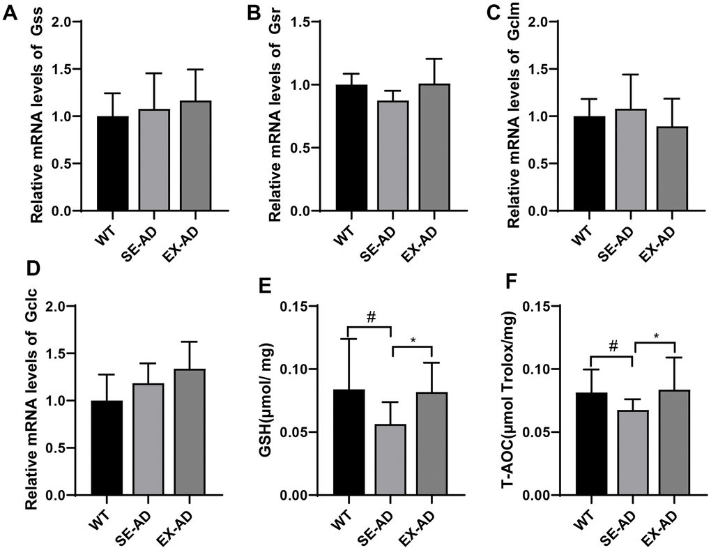 Glutathione system and total antioxidant capacities of the animals’ livers. (A) Relative expressions of Gss mRNA. (B) Relative expressions of Gsr mRNA. (C) Relative expressions of Gclm mRNA. (D) Relative expressions of Gclc mRNA. (E) Contents of GSH in the animals’ livers. (F) Total antioxidant capacities of the animals’ livers (n = 6 in each group). The data are expressed as means ± SDs. # p 