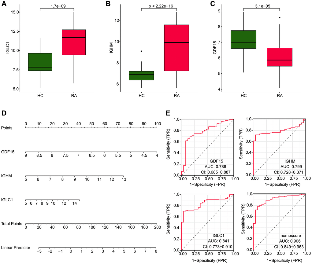 Expression level and nomogram construction of CRGs for RA. (A–C) The expression analysis of IGLC1, IGHM and GDF15 in HC and RA groups. (D) Nomogram development of IGLC1, IGHM and GDF15. (E) Diagnostic effectiveness exploration of IGLC1, IGHM, GDF15 and nomogram score.