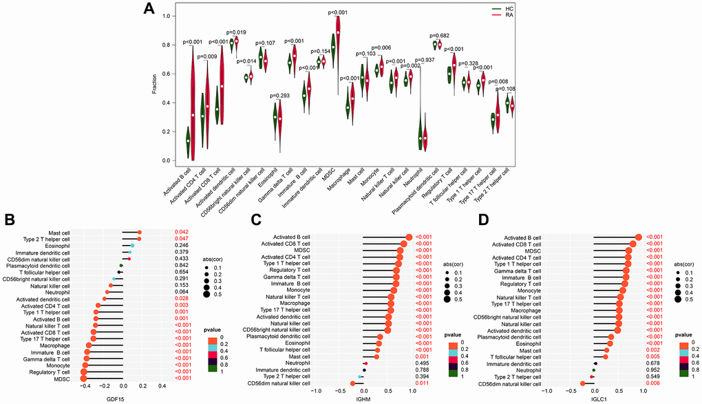 Association exploration of CRGs-related biomarkers and immune infiltration characteristic. (A) Relative quantities of 23 immune cells in the HC and RA groups. (B–D) Correlation analysis of IGLC1, IGHM, GDF15, and 23 immune infiltration features.
