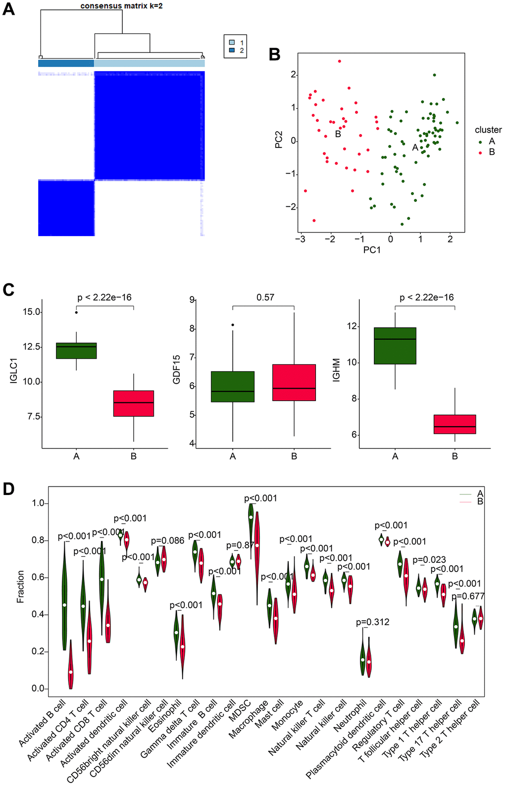 Molecular subtype analysis based on CRGs. (A) Optimal classification analysis based on consensus clustering of CRGs. (B) PCA analysis of different molecular subtypes of RA. (C) Expression analysis of IGLC1, IGHM, and GDF15 in different molecular subtypes. (D) Analysis of immune infiltration characteristics in molecular subtypes of RA samples.
