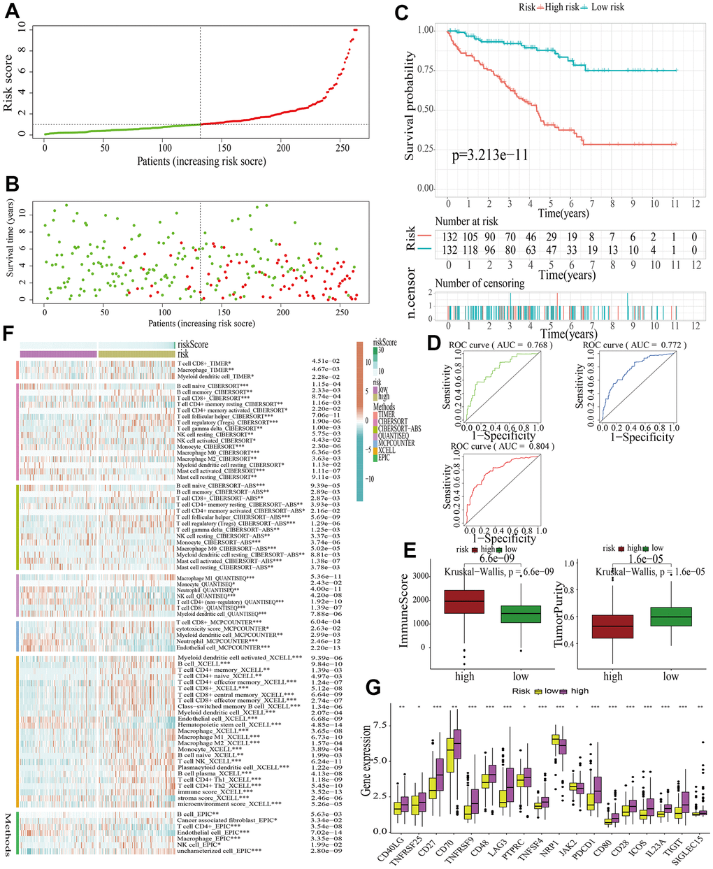 Identification of a MAPK-related signature in train cohort. (A) The distinguishment of high- and low-risk subgroups on the basis of the median risk score. (B) The distributions of the risk score and survival status. (C) Survival analysis in train cohort. (D) ROC curves of 1-, 3-, and 5-year survival. (E) Assessment of TME by “ESTIMATE”. (F) The discrepancies of immune response in high- and low-risk subgroups. (G) The discrepancies of ICD expression in high- and low-risk subgroups.