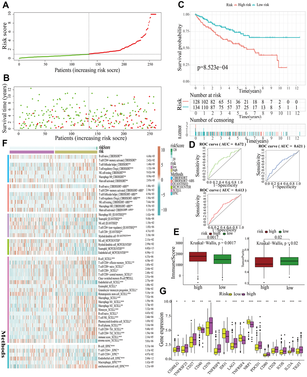 Internal validation of a MAPK-related signature in test1 cohort. (A) The distinguishment of high- and low-risk subgroups based on the median risk score in train cohort. (B) The distributions of the risk score and survival status. (C) Survival analysis in test1 cohort. (D) ROC curves of 1-, 3-, and 5-year survival. (E) Assessment of TME by “ESTIMATE”. (F) The discrepancies of immune response in high- and low-risk subgroups. (G) The discrepancies of ICD expression in high- and low-risk subgroups.