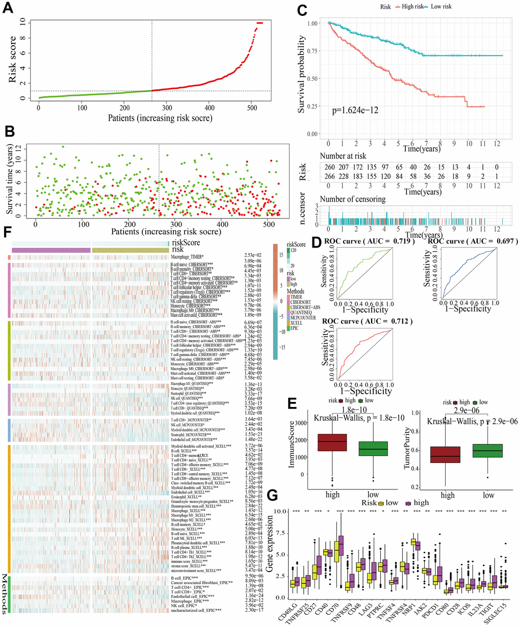 Internal validation of a MAPK-related signature in test2 cohort. (A) The distinguishment of high- and low-risk subgroups based on the median risk score in train cohort. (B) The distributions of the risk score and survival status. (C) Survival analysis in test2 cohort. (D) ROC curves of 1-, 3-, and 5-year survival. (E) Assessment of TME by “ESTIMATE”. (F) The discrepancies of immune response in high- and low-risk subgroups. (G) The discrepancies of ICD expression in high- and low-risk subgroups.