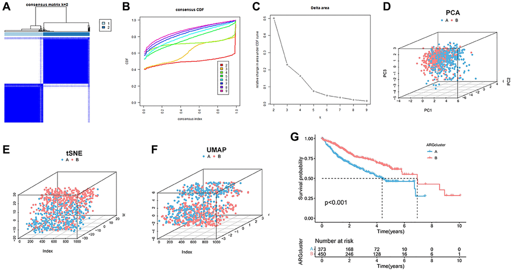 Cluster analysis of anoikis in HCC cohort. (A) The HCC data sets in the three queues are divided into two different clusters. (B) Consensus clustering cumulative distribution function (CDF) for k = 2~9. (C) The relative change of the area under the CDF curve from k = 2 to 9. (D–F) PCA, tSNE and UAMP diagrams show that the cluster can distinguish patients according to the expression profile of HCC dataset. (G) Kaplan-Meier curve survival analysis among different clusters.