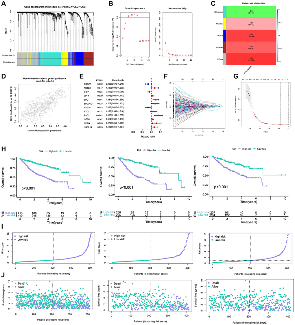 Construction of the model based on the anoikis classification. (A, B) Co-expression network established by TCGA-LIHC database, GSE14520 data set and ICGC data. (C) Heatmap of the correlation between eigenes and anoikis scores for grey modules. (D) Grey module has the strongest correlation with anoikis (Cor = 0.75, P = 8e−90). (E) The 12 gene expression characteristics based on the type of anoikis were selected using the LASSO-Cox model. (F, G) Optimize the cross validation of parameter selection in LASSO model. (H) Kaplan-Meier curve survival analysis of HCC patients in all samples, train group and test group. (I) Risk curves of all samples, train groups and test groups. (J) Risk status diagram of all samples, train group and test group.