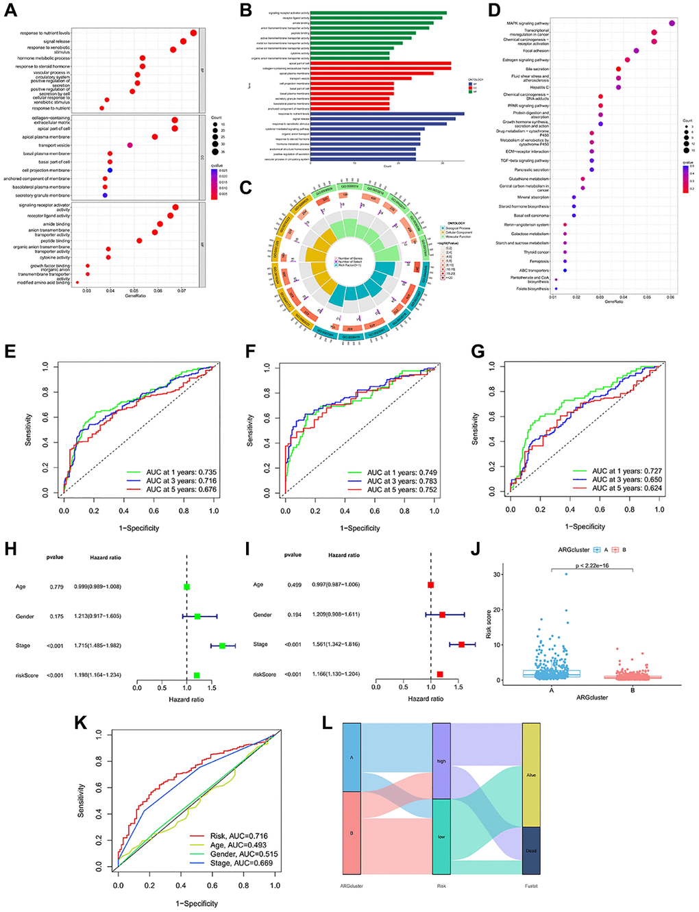 Enrichment analysis and prognostic model construction based on anoikis DEGs. (A–C) GO pathways enriched between the high-risk and low-risk groups. (D) KEGG pathways enriched between high-risk and low-risk groups. (E–G) ROC curves of all samples, train group and test group. (H, I) Univariate and multivariate Cox regression analysis showed that the risk score based on anoikis correlation cluster was an independent prognostic factor affecting the prognosis of HCC patients. (J) There are significant differences between cluster A and cluster B in risk score. (K) The ROC prediction curve of the anoikis model. (L) Sankey diagram reveals the potential relationship between clustering, risk score and survival status.