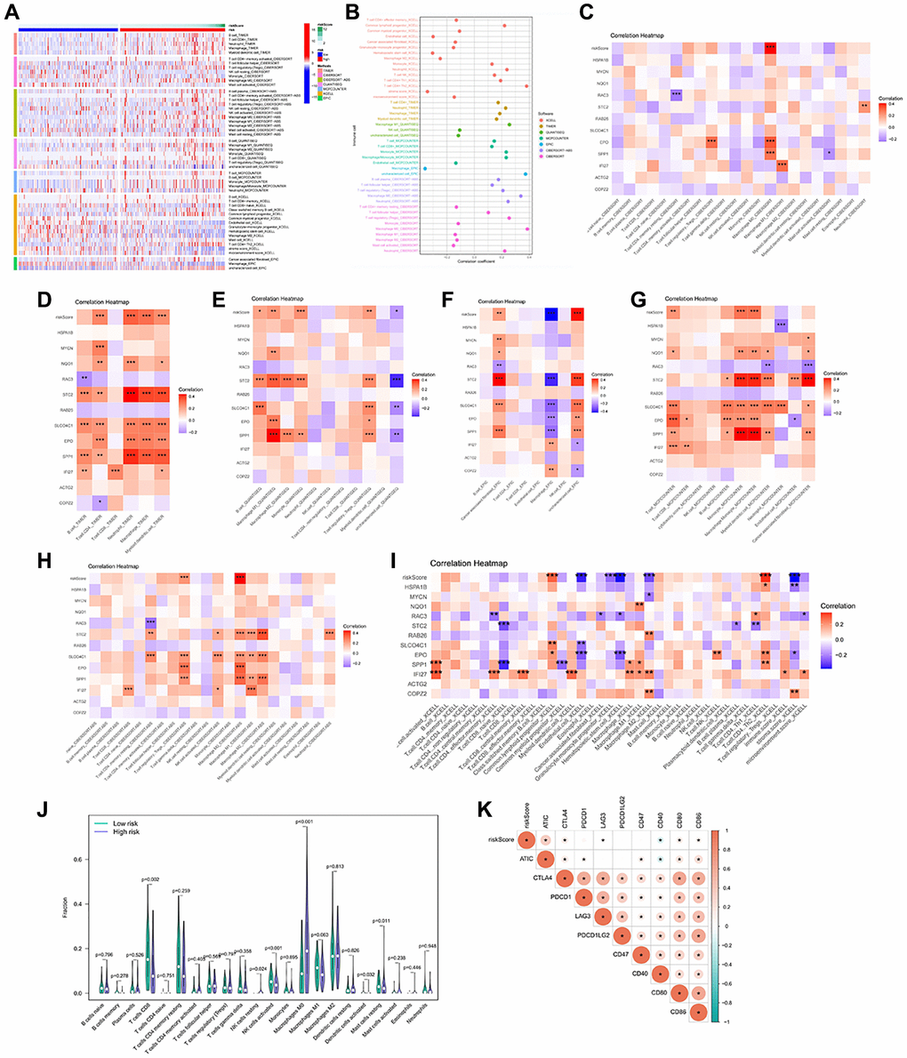 Immune infiltration profile in the risk groups. (A, B) 7 algorithms evaluated the immune cell infiltration between the HCC risk groups. CIBERSORT (C), TIMER (D), QUANTISEQ (E), EPIC (F), MCP-counter (G), CIBERSORT-ABS (H), XCELL (I) to calculate the correlation of signature genes and risk scores with each immune cell. (J) The abundance of immune cells between the high and low risk groups. (K) Heatmap of correlation between Immune checkpoint genes and risk score. *p **p ***p 