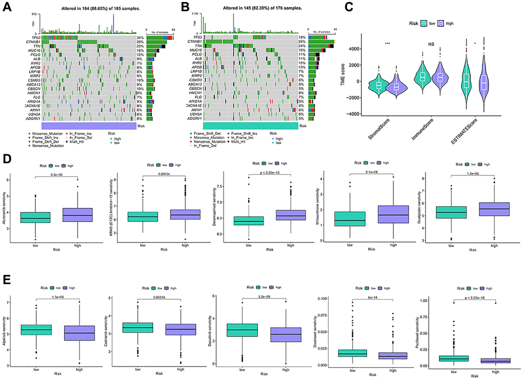 TMB and drug sensitivity between different risk characteristic groups. (A, B) The diagram shows gene mutations in high and low risk groups. (C) Analysis of tumor microenvironment components between risk characteristic groups. (D, E) Sensitivity analysis of chemotherapeutic drugs between different risk groups. NS p > 0.05, *p **p ***p 